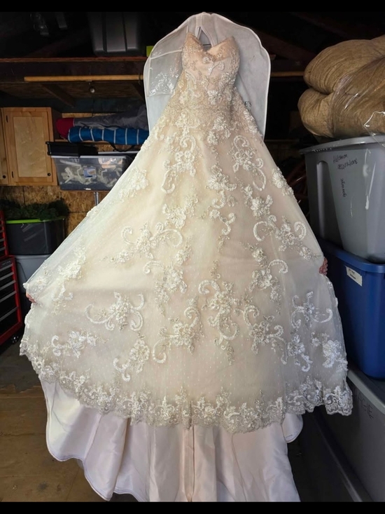 Dresses & Skirts - Strapless Lace Appliqué Ball Gown Wedding Dress in Champagne
